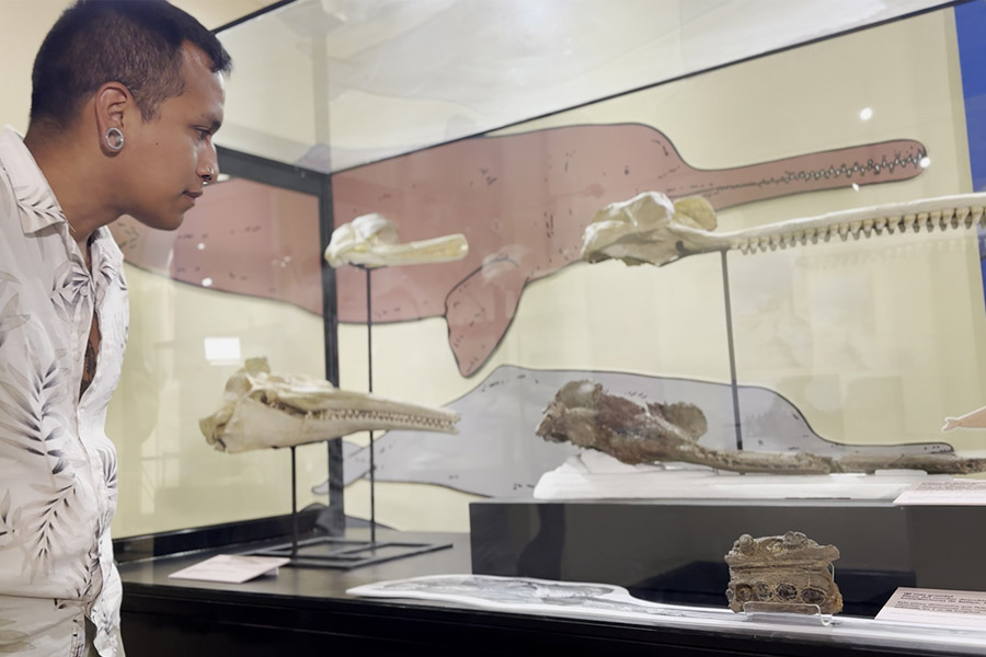 ¡Fascinante! Peruano en Suiza nos revela el mundo de la paleontología